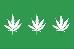 Légalisation du cannabis – bon à savoir