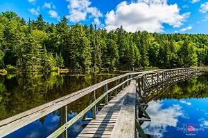 Parc éco Laurentides