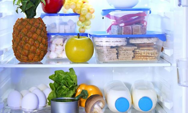 Conservation des aliments pendant et après une panne électrique!