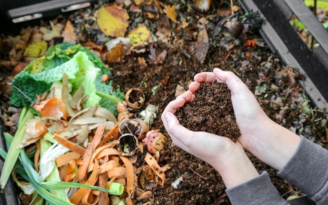 Notre traditionnelle distribution d’arbres et de compost s’en vient à grands pas !