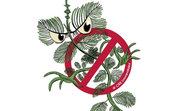 Plante envahissante, attention !