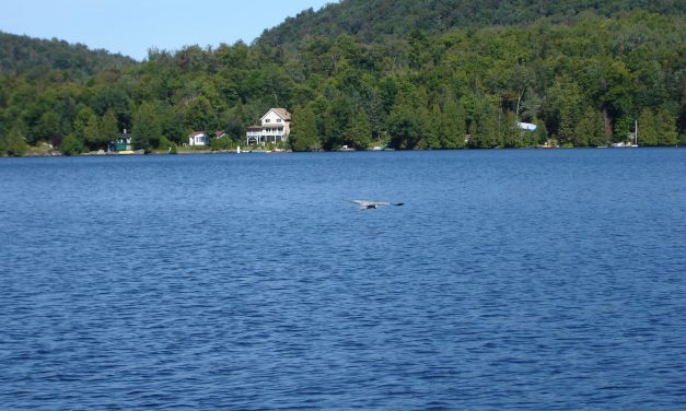 Brunch des lacs – 4e édition