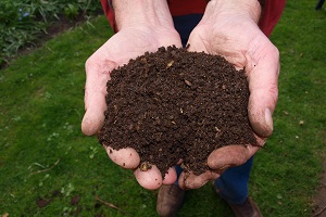 Envie de jardiner ? Compost et arbres distribués gratuitement !