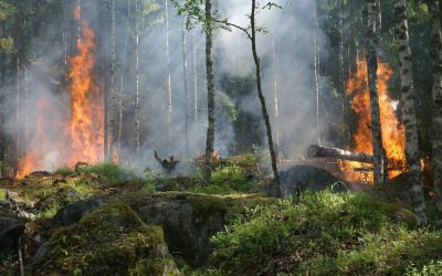 Interdiction LEVÉE  pour les feux à ciel ouvert