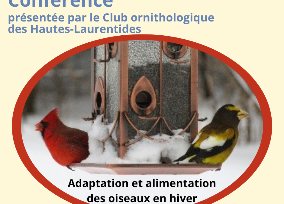 Conférence : Adaptation et alimentation des oiseaux en hiver