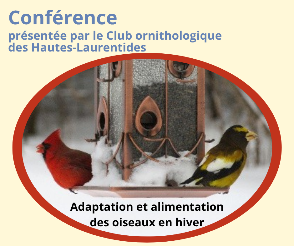 Club ornothologique (1)