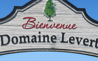 Précisions concernant les projets de développement dans le secteur du Domaine Levert